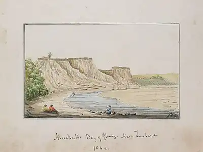 Mockatoo Bay of Plenty, New Zealand, 1849