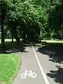 Cycle tracks at the park