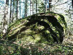 Rock Corral on the Barlow Road