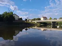 Rokovci from the Bosut river