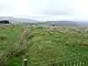 Looking north along western side of the  Blaen Cwm Bach Roman marching camp