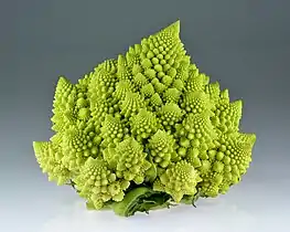 Romanesco broccoli