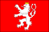 Flag of Ronov nad Doubravou