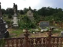 The Jones family plot