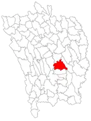 Location in Vaslui County