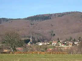 Village overview