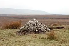 a large pile of stones in a grassy area with a large hill looming in the background