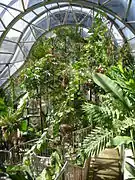 Inside the Tropical Centre