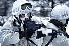 Royal Marines equipped for Arctic warfare during an exercise in Norway