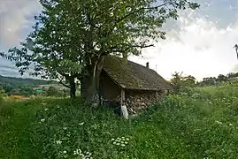 House in Ruda Kameralna