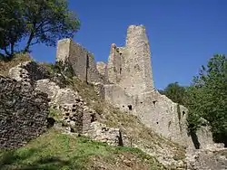 Ruins of Schenkenberg castle