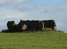 Old very ruined building on low hill. Roofless and no wall left higher than an adult.