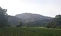 Cornfield near Runcu with the Tufoaia mountain in the background.