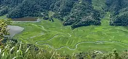 View of Rupa lake and Paddy fields.