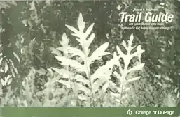 Trail Guide