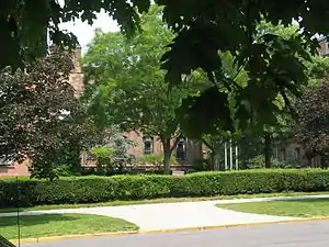 Buildings behind trees