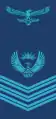 South African Air Force