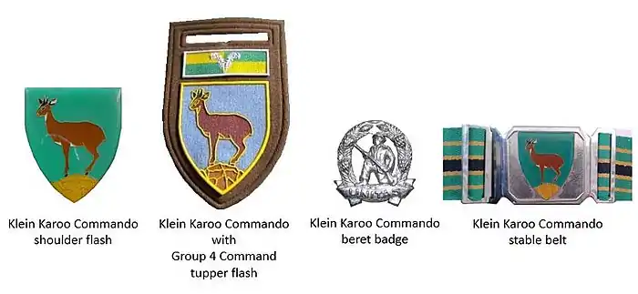 SADF era Klein Karoo Commando insignia