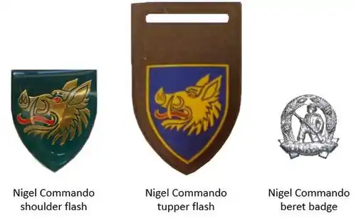 SADF era Nigel Commando insignia