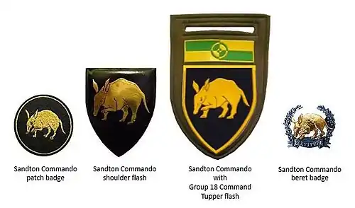 SADF era Sandton Commando insignia