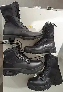 Top to bottom: Army Combat Boot (ACB), Enhanced Combat Boot (ECB), RSN Combat Safety Boot, RSAF Combat Safety Boot.