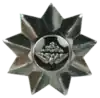 SANDF - INSIGNIA - Rank - Officer - 9 Point Star - SA Army - Chrome, with Protea