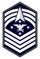 Space Force insignia(2023–present)