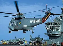 Sea King landing in 2003