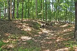 Skiffes Creek Sand Spit Site