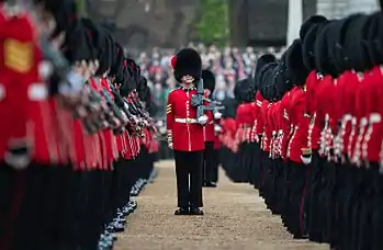 A Coldstream Guards Sergeant dressing through the ranks during the rehearsal for the Trooping the Colour