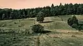 Natural landscape from the village of Pleșa (Polish: Plesza)