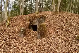 Ōya-Sada Kofun Cluster