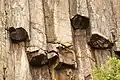 Columnar jointing near the High Island Reservoir East Dam