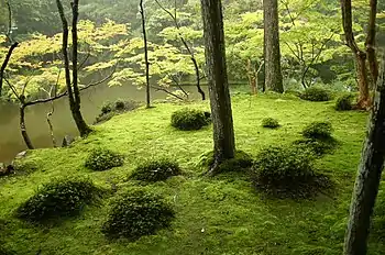 Saihō-ji The Moss Garden, an early Zen garden from the mid-14th century. The moss arrived much later, when the garden was not tended.