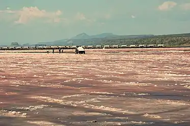 Salt harvesting at lake Magadi