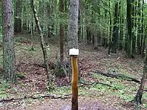 Block of salt mounted on a post in Sopot, Poland