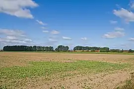 The row of trees marks the dismantled Salzwedel–Lübbow section below the America Line, which is being worked by a goods train to Stendal.