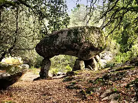 A dolmen in San-Gavino-di-Carbini