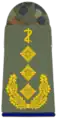 Generaloberstabsarzt(Army Senior Staff General Dentist, field uniform mounting loop)