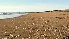 Sand and shells on Seven Mile Beach