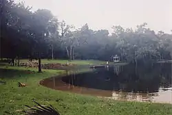 Flooding of Sanlando Springs after Hurricane Frances in 2004