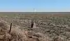 Santa Fe Trail — Cimarron National Grassland Segment 1