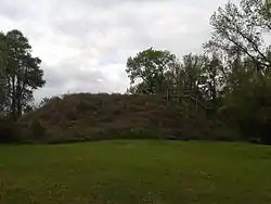 Santee Indian Mound and Fort Watson