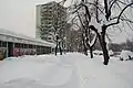 Winter scene at Grbavica on February 5, 2012