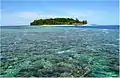 Coral reef near Saronde