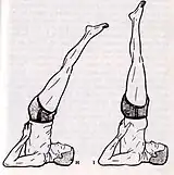 Viparita Karani Mudra and Sarvangâsana