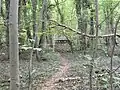 Above-ground relic of flintstone mine in forest near Gronsveld