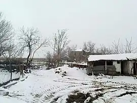 Sazlıca in the snow