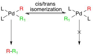 Generation of active species via cis/trans isomerism