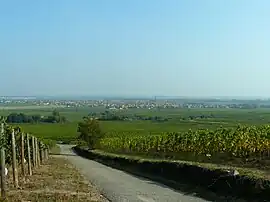 The village viewed from the vineyard